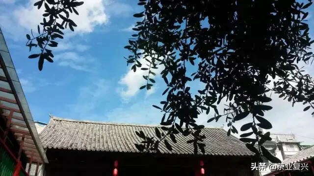 茶生活到底是什么样的生活