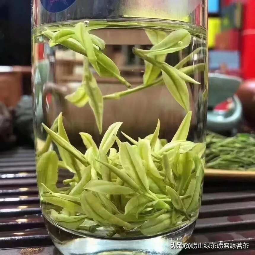 为什么市场上很难买到真正的崂山茶？