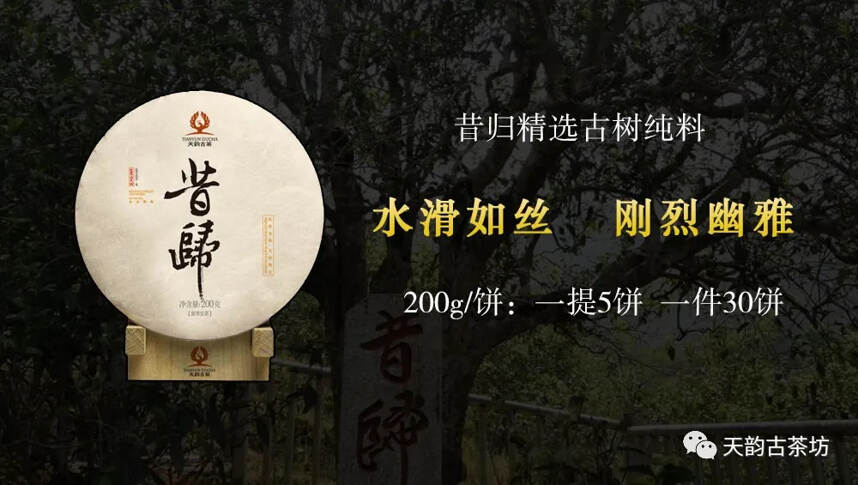 深钻茶山｜您要的2020年头春古树茶就在这里!