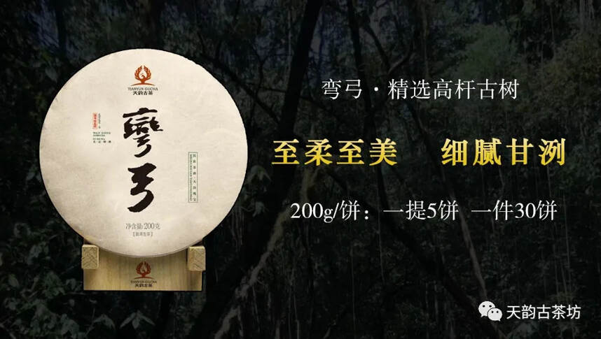 深钻茶山｜您要的2020年头春古树茶就在这里!