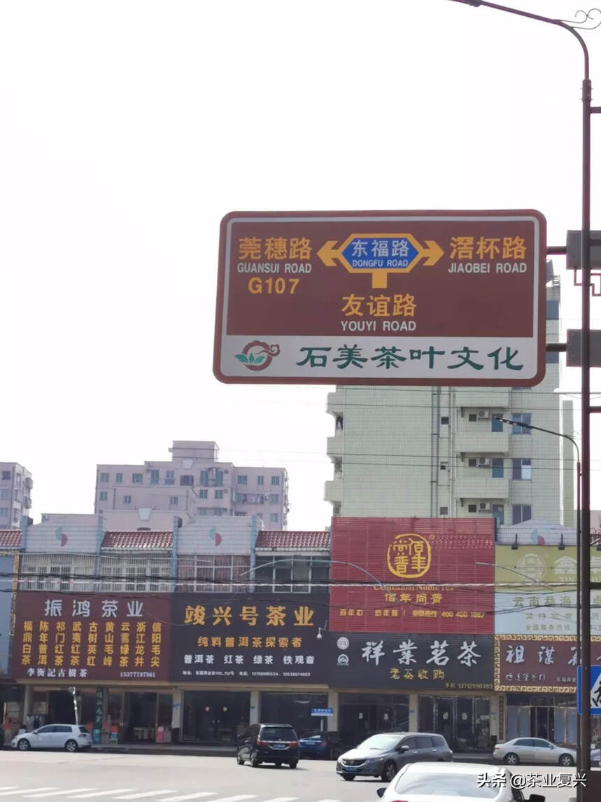 东莞，凭什么成为“藏茶之都”？