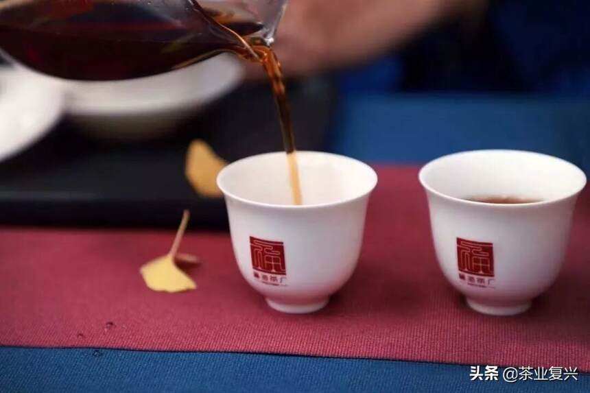 探秘普洱熟茶传统发酵之美