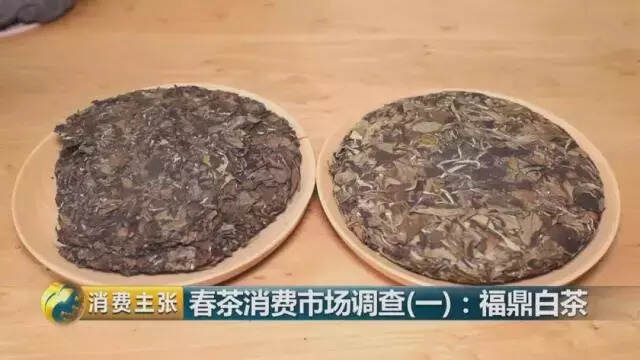 30年茶人生涯，非遗制茶大师举实例教您“消费”好白茶