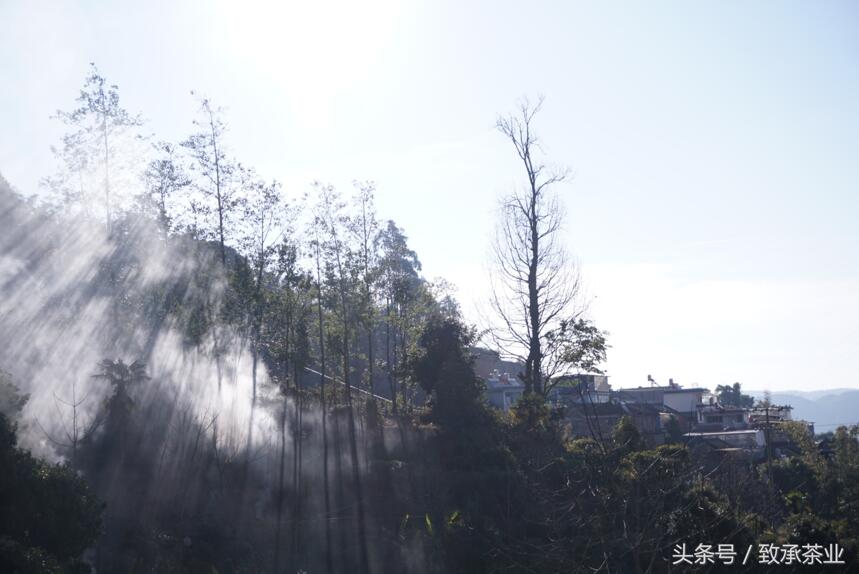 大年初二，喝好茶，吃火烧肉。小胡给大家拜年啦。