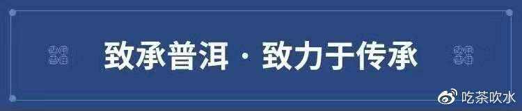 霸气内敛的山野醇甜——最后一站的普洱茶皇后