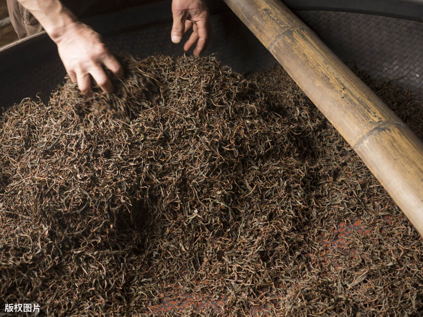 祁门红茶｜这一次我们重新认识她