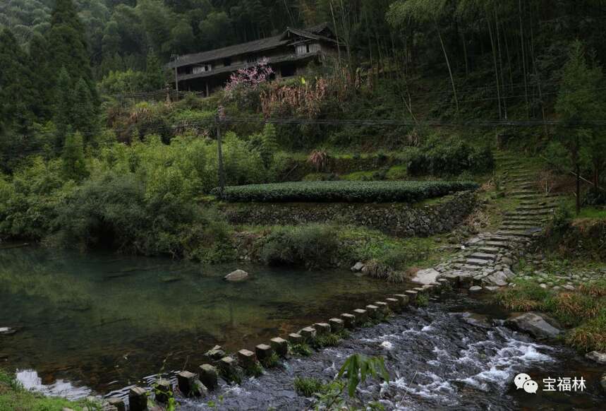 今天不说茶，来看看福鼎风景吧（超多美图）