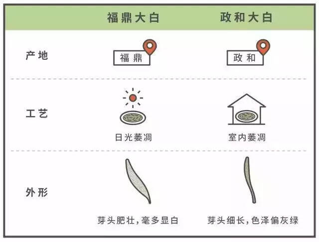 白茶，中国茶界的极简主义者