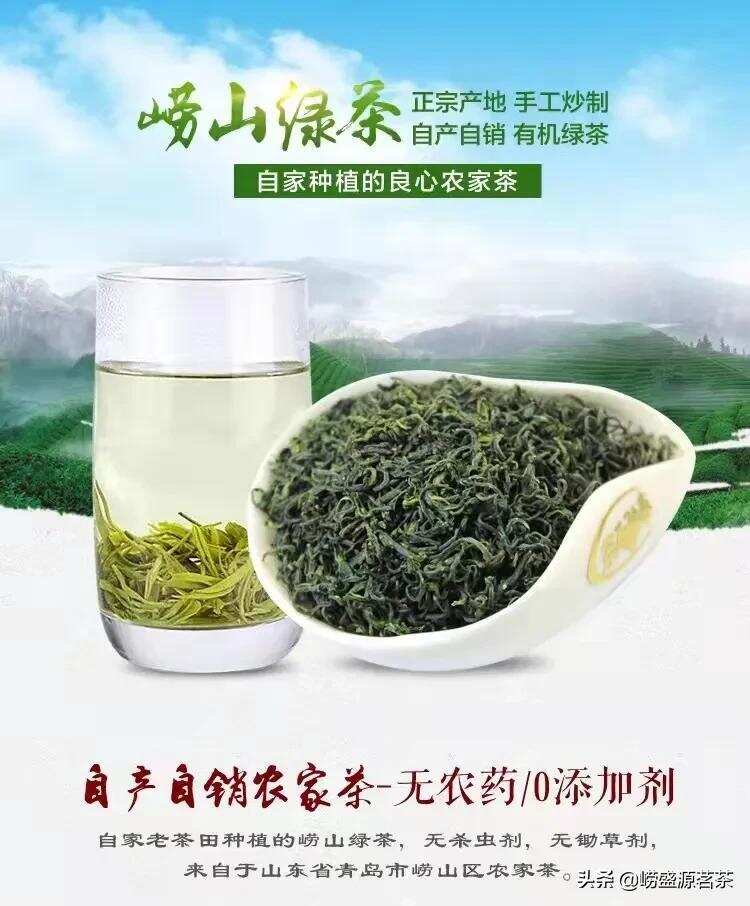 青岛崂山人种植的良心茶