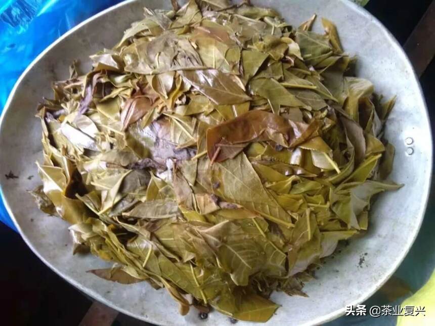 看完就是人生赢家！云南茶山美食到底有多野？