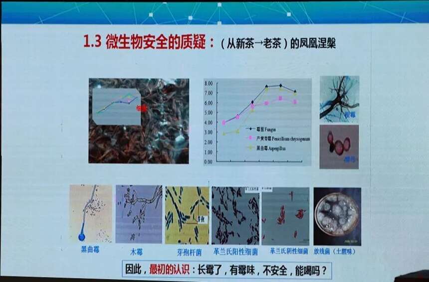 终于有人讲出了茶「越陈越香」的科学原理