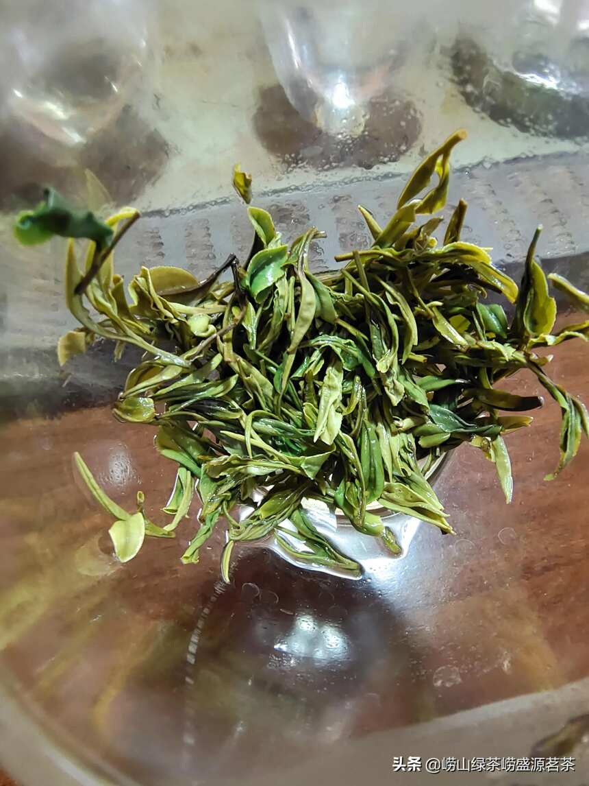 如何理解崂山绿茶中的口粮茶？