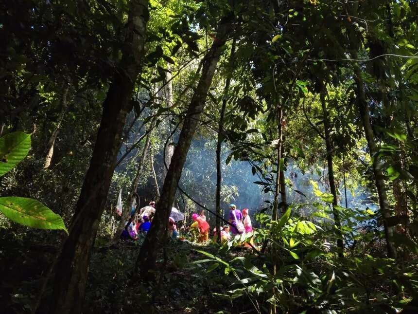 为了喝一杯好茶，这群人在深圳摩天大楼里唱起了云南山歌