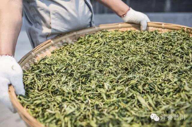 天哪噜！原来做好一饼普洱茶需要那么多步骤！