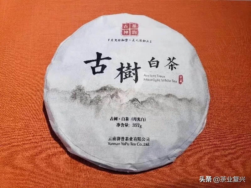 云南白茶与福建白茶哪个更好喝？