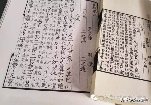 大师·周作人：中国为什么没有日本那样的茶道？