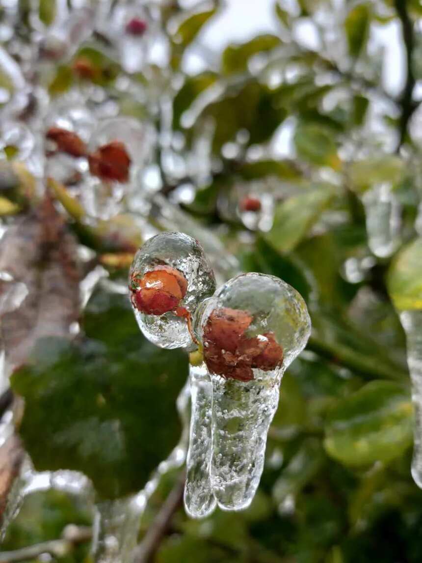 “广冻人”的冰雪运动