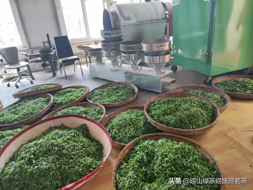 崂山绿茶是崂山特产更是青岛的土特产