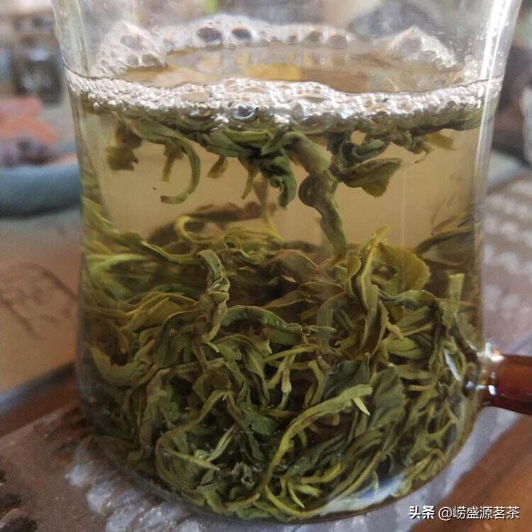 秋末的崂山绿茶 豌豆香味浓郁更耐泡