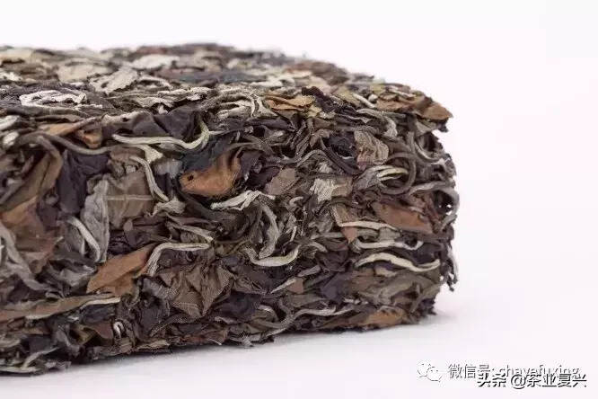 云南白茶到底是不是白茶？