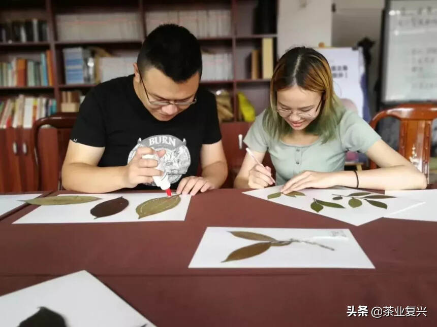 野生植物学家的标本制作指南