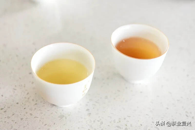 再续孔雀传奇：宝和祥03班章孔雀茶饼专场品鉴