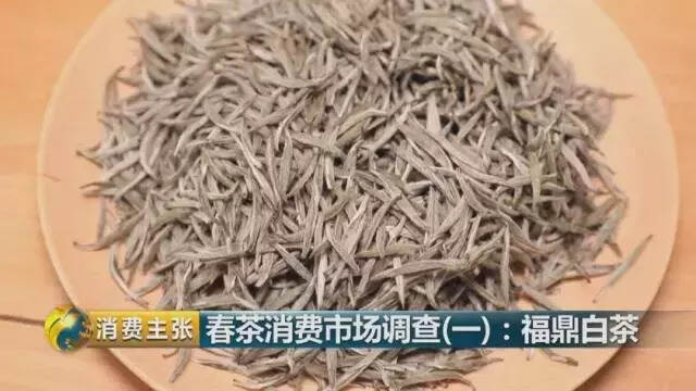 30年茶人生涯，非遗制茶大师举实例教您“消费”好白茶