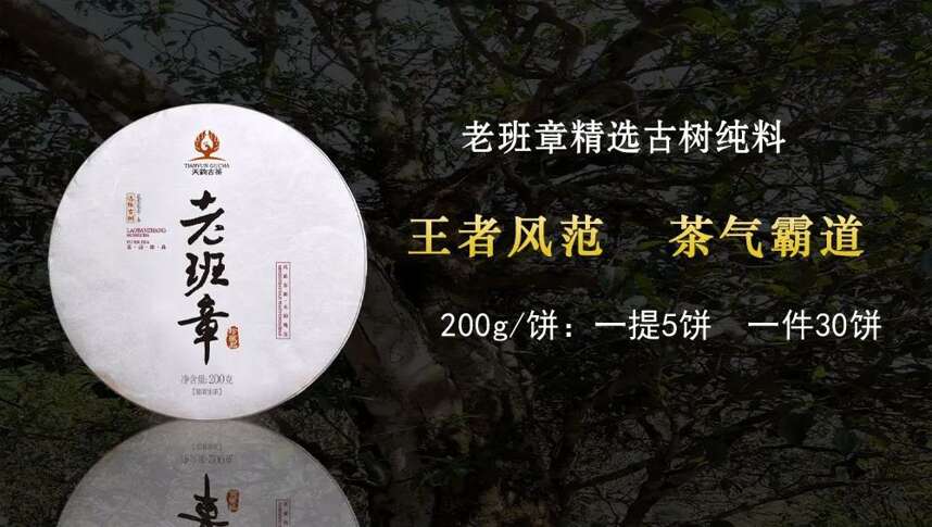 天韵古茶｜普洱茶四大核心基地，为源头品质奠定了良好的基础