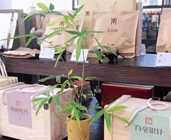 最美茶人系列故事｜接纳一杯茶的邀约