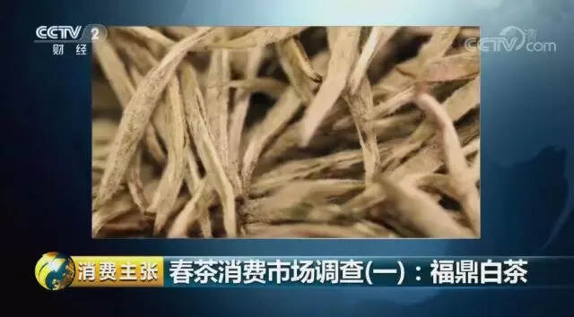 30年茶人生涯，非遗制茶大师举实例教您“消费”好白茶