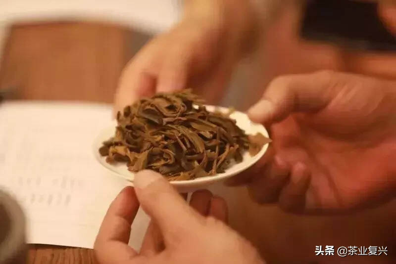 不敢想象，真有人用老班章发熟茶