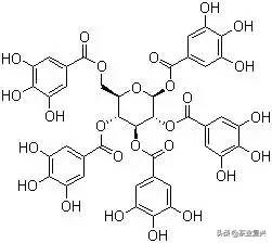 茶为什么会回甘生津？其实并没有苦回甘，涩生津这回事