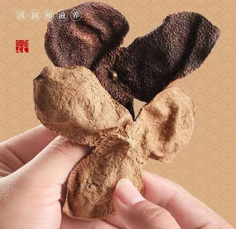 古今医家对陈皮的研究