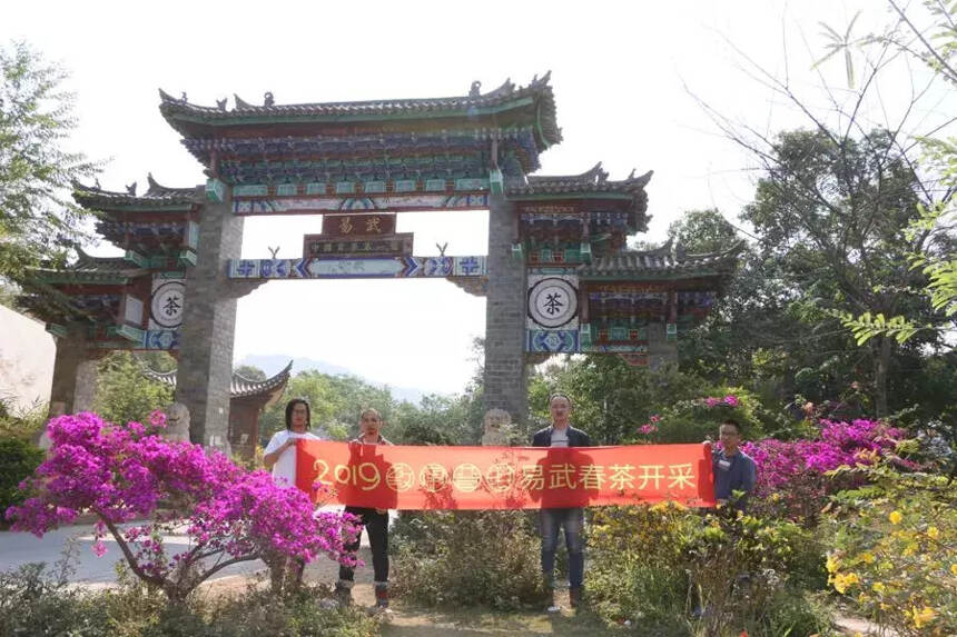 致承普洱2019春茶采制第三天：易武高山寨