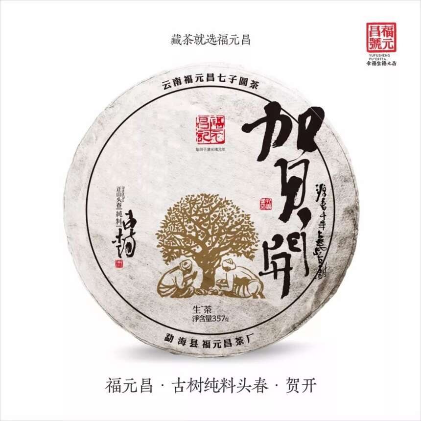 福元昌2019年春茶预售（首批）正式开始