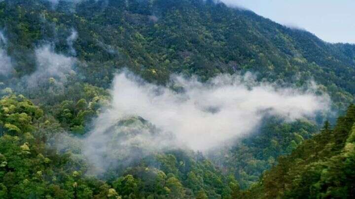 普洱茶临沧区最著名的几个山头（地理位置、口感特色）