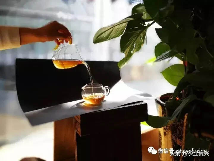 武侠宗师梁羽生笔下，茶是种怎样的存在？