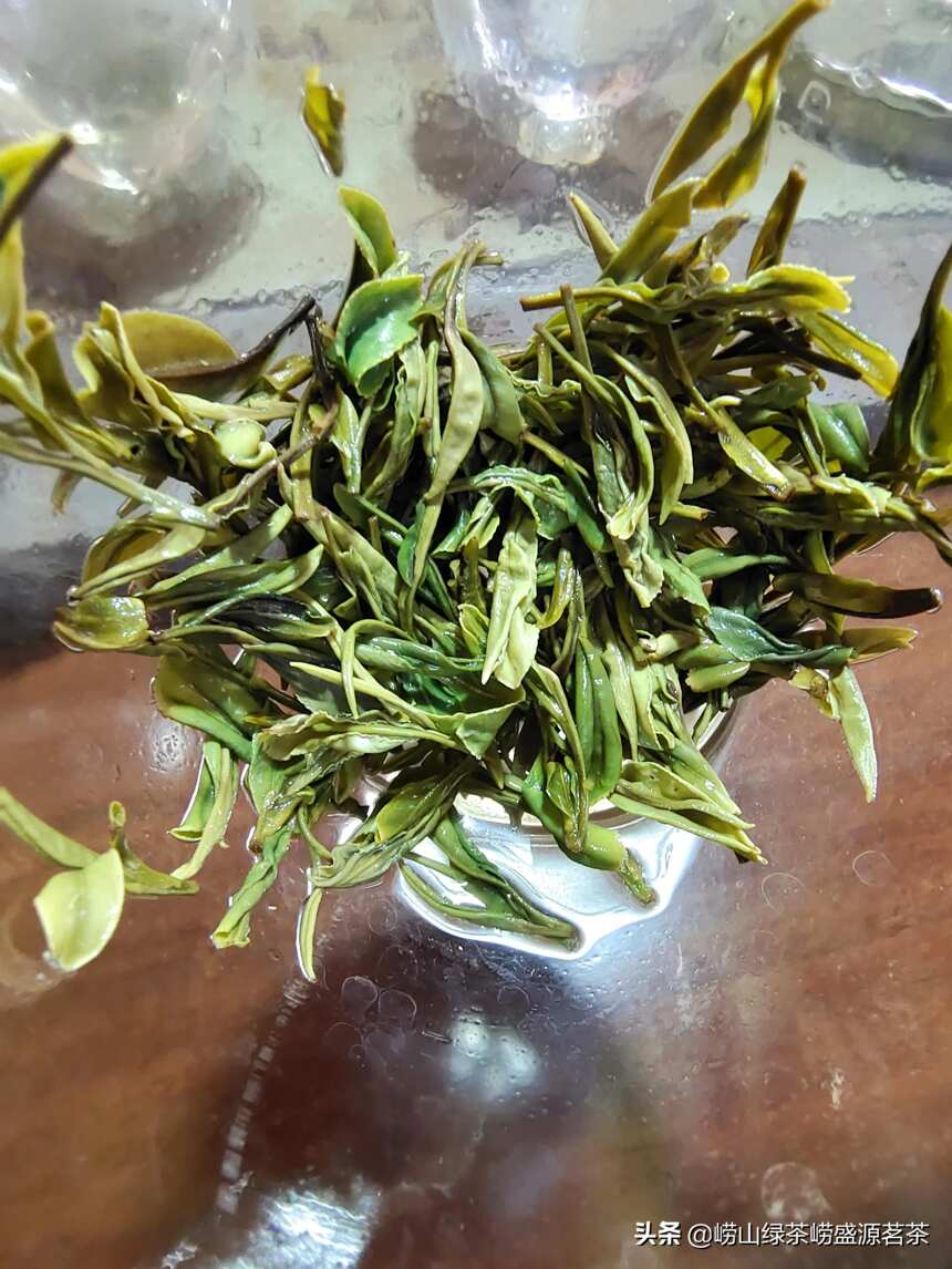 崂山茶什么时候口感最好？越贵的茶叶越好喝吗？