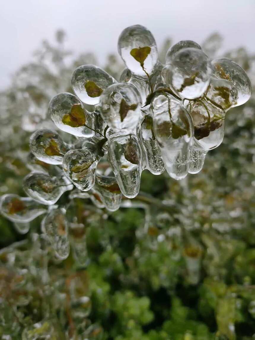 “广冻人”的冰雪运动