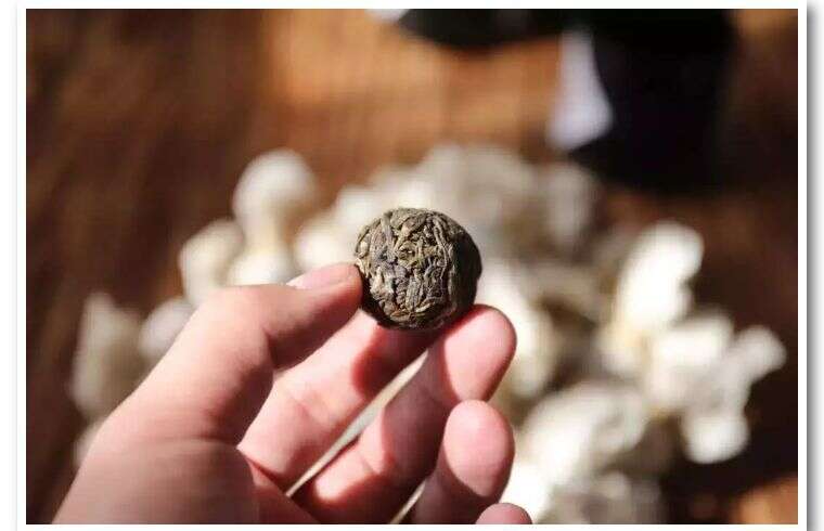 惊蛰已至！还不来杯昔日贡茶？