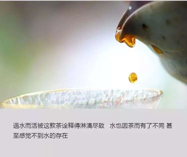 精选三大产区的熟茶，了解一下！