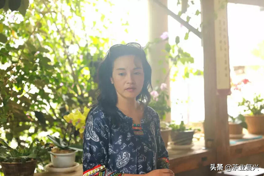 红尘里的茶，红尘里的生活