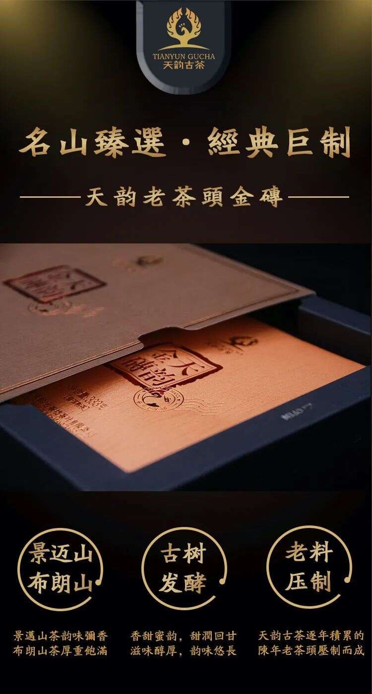 探秘“天韵味”，享悦“活性”古树熟茶的韵味