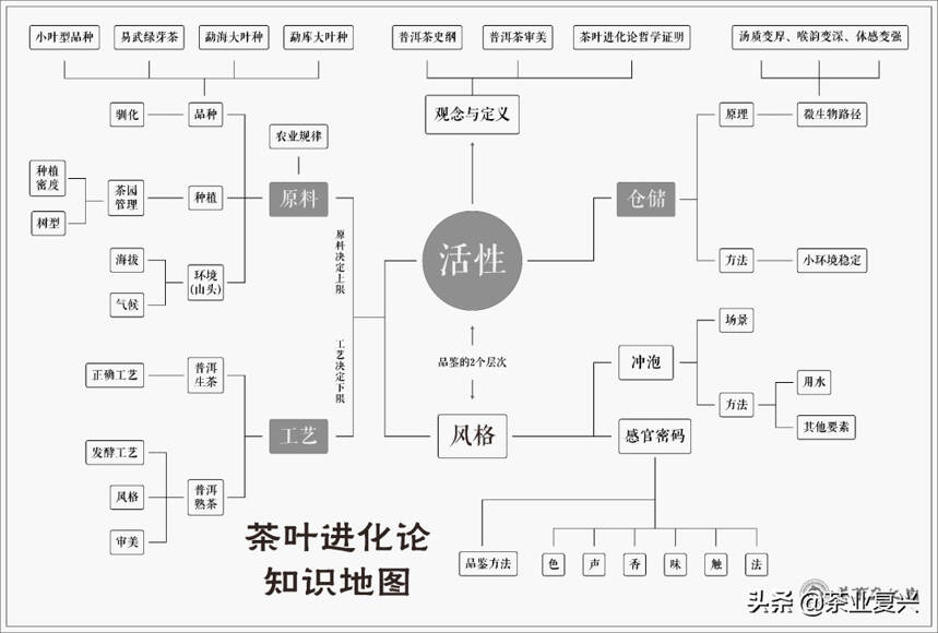 如果没有会喝易武茶的人，好茶的存在就没有意义