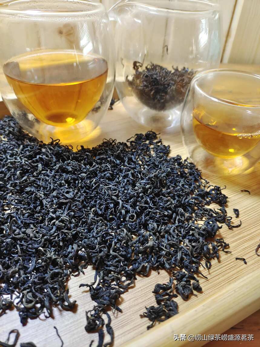 崂山茶为什么会有私家茶和百家茶一说？两者有什么区别？