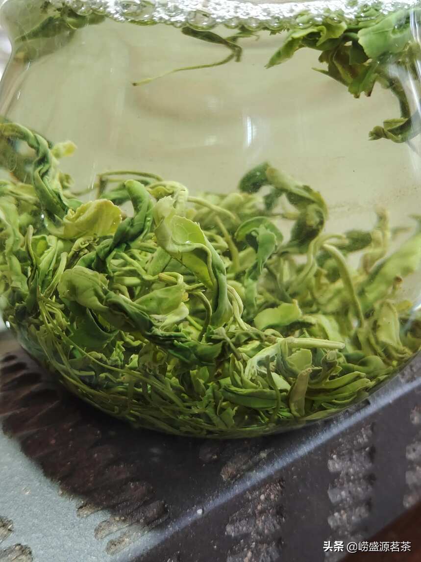 3月25号炒制崂山绿茶明前茶口感鲜爽