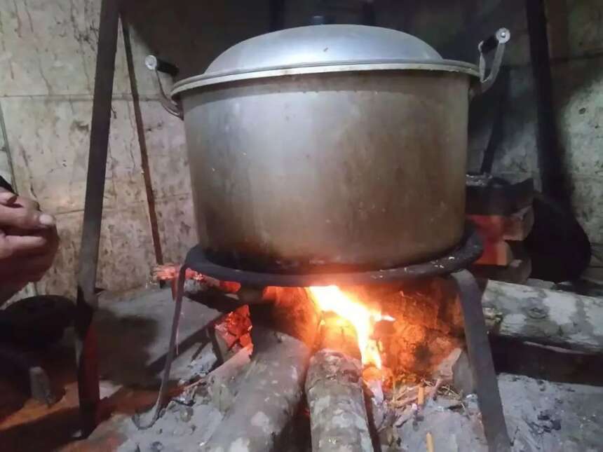 寻找老曼峨的茶生活：酸茶、苦茶与甜茶