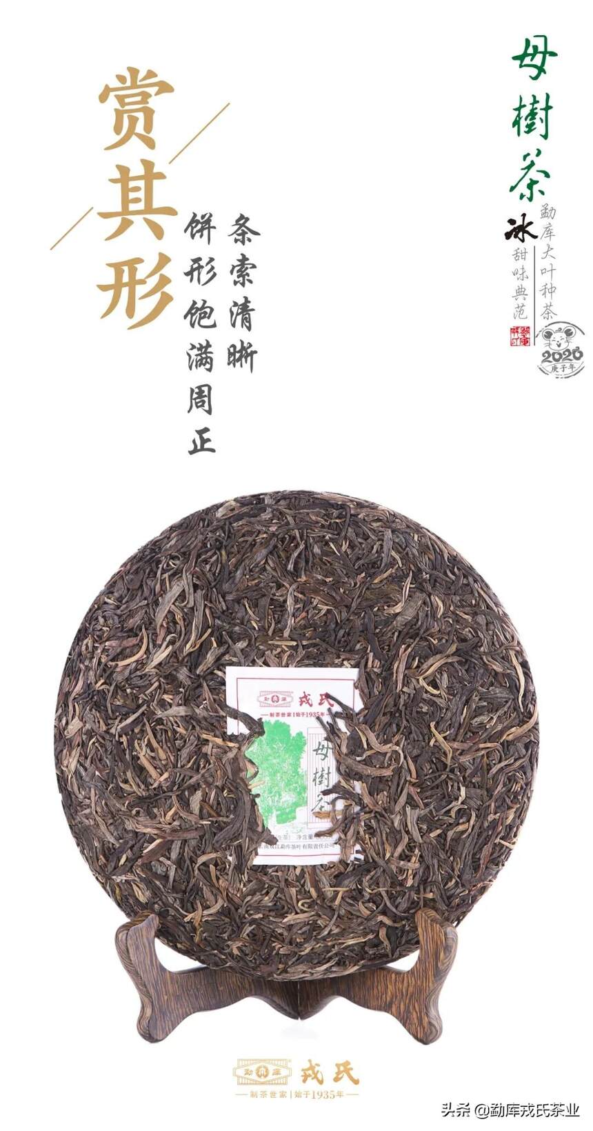 冰糖甜韵，荣耀传承|2020年母树茶惊喜上市！