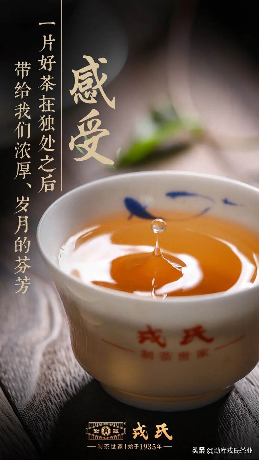 好茶总有故事，时光成就价值