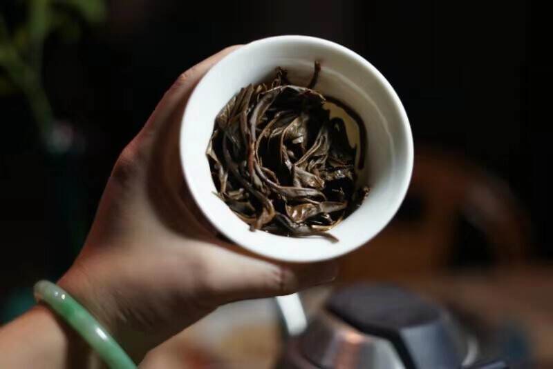 周五茶闻——中期茶、博览会，还有这款“千年古树”